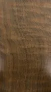 Black Walnut parttern of Cibes home lift